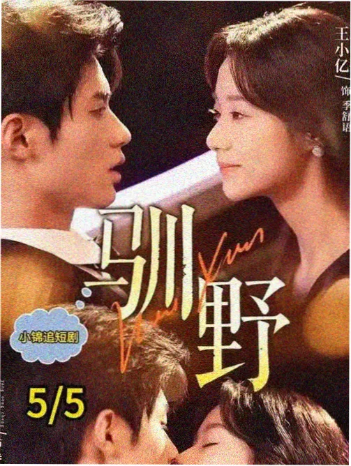 思雨电影网资讯配图，剧集条目按集索引说明